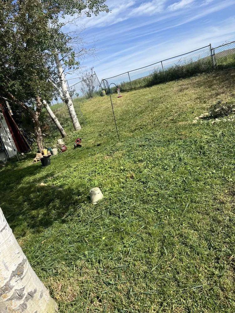 Affordable lawn mowing service for homes in Craig, CO by Sharp Edge Lawn Care