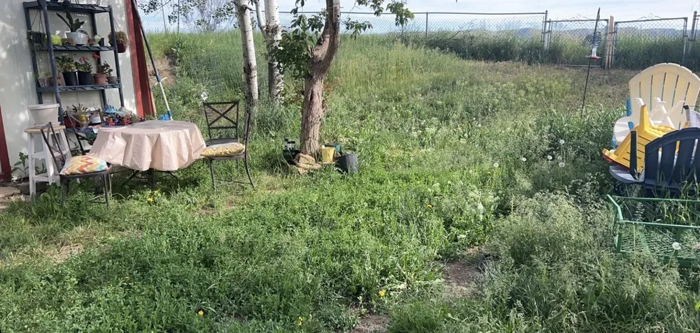 Affordable yard maintenance experts serving Craig, CO - Sharp Edge Lawn Care