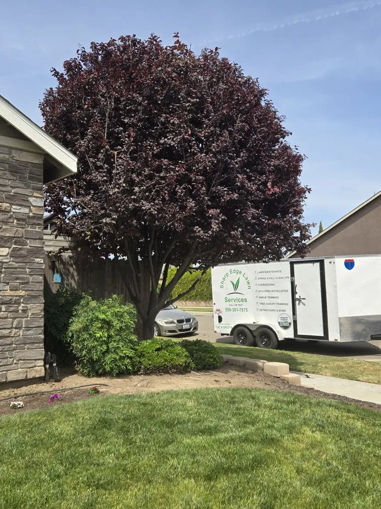 Reliable yard cleanup service near you in Hanford, CA by Sharp Edge Lawn Services