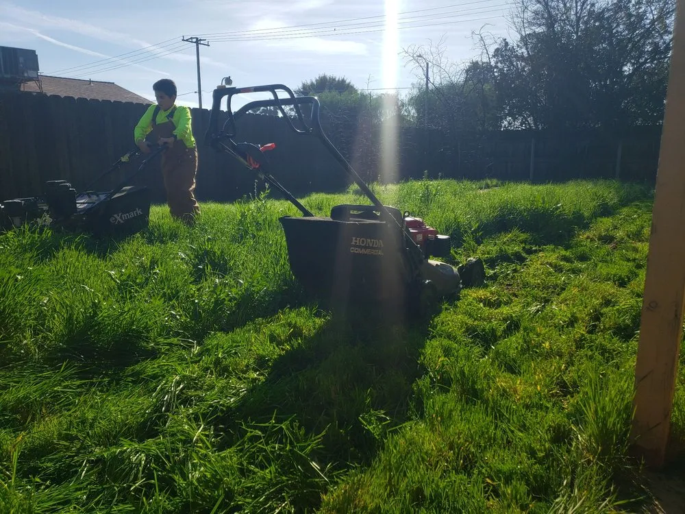 Reliable yard cleanup service for residential properties across Hanford, CA - Sharp Edge Lawn Services