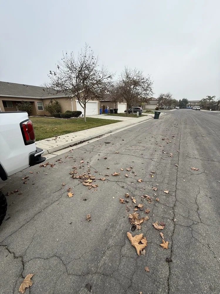 Professional landscape design for beautiful yards in Hanford, CA by Sharp Edge Lawn Services