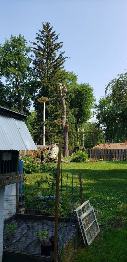 Custom yard maintenance for outdoor upgrades in Mentor, OH by Sharp Edge Tree & Landscape