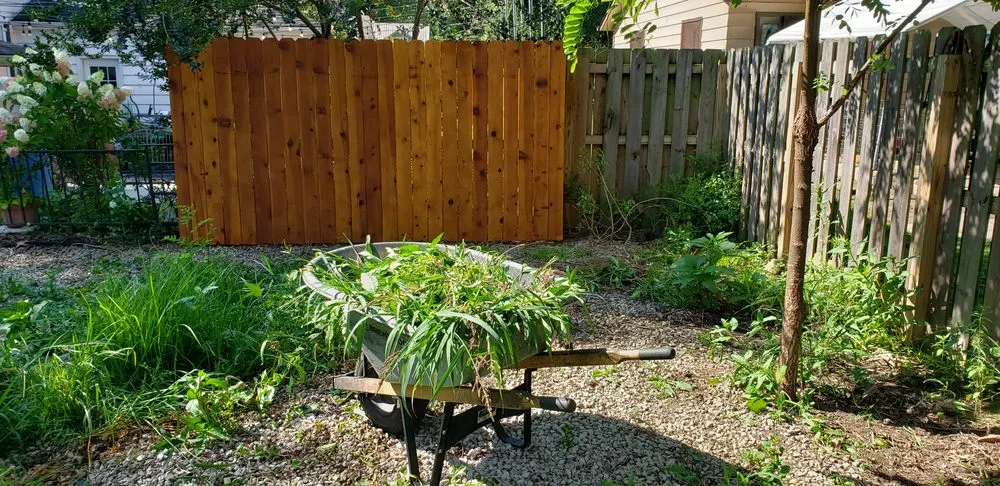 Expert lawn mowing service for beautiful yards across Mentor, OH - Sharp Edge Tree & Landscape