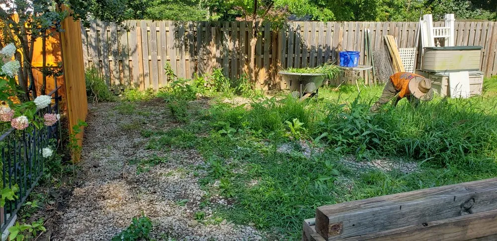 Custom yard cleanup service near you across Mentor, OH - Sharp Edge Tree & Landscape