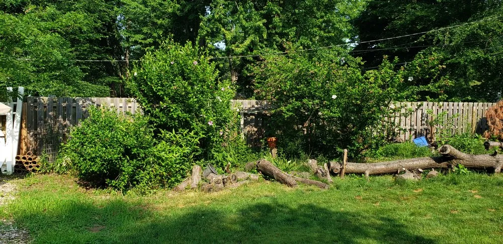 Trusted landscaping services in Mentor, OH - Sharp Edge Tree & Landscape