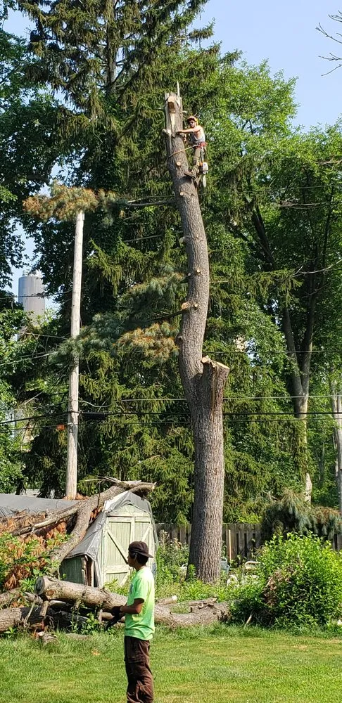 Professional outdoor landscaping in Mentor, OH - Sharp Edge Tree & Landscape