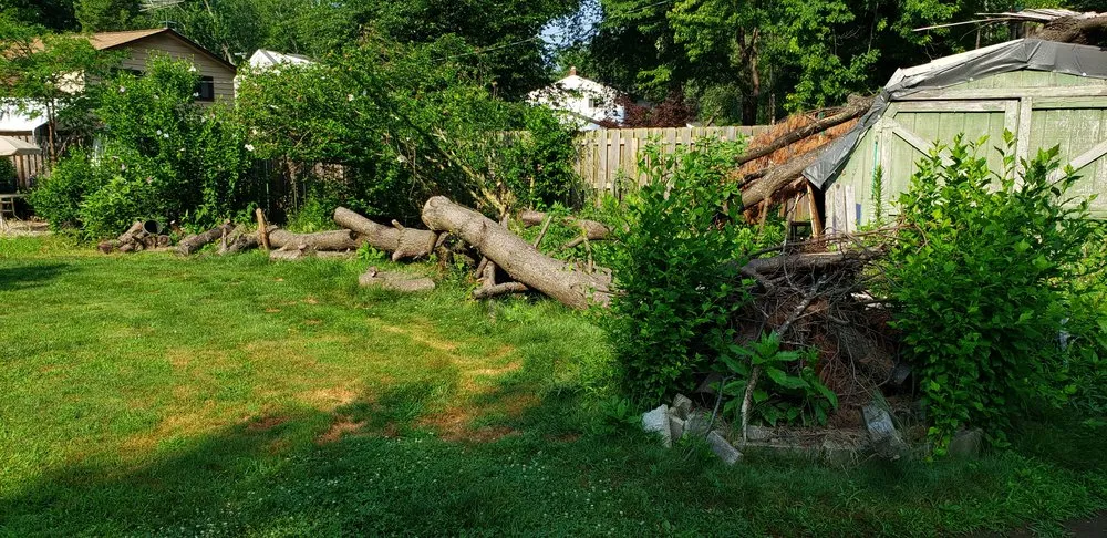 Reliable garden landscaping with custom design across Mentor, OH - Sharp Edge Tree & Landscape