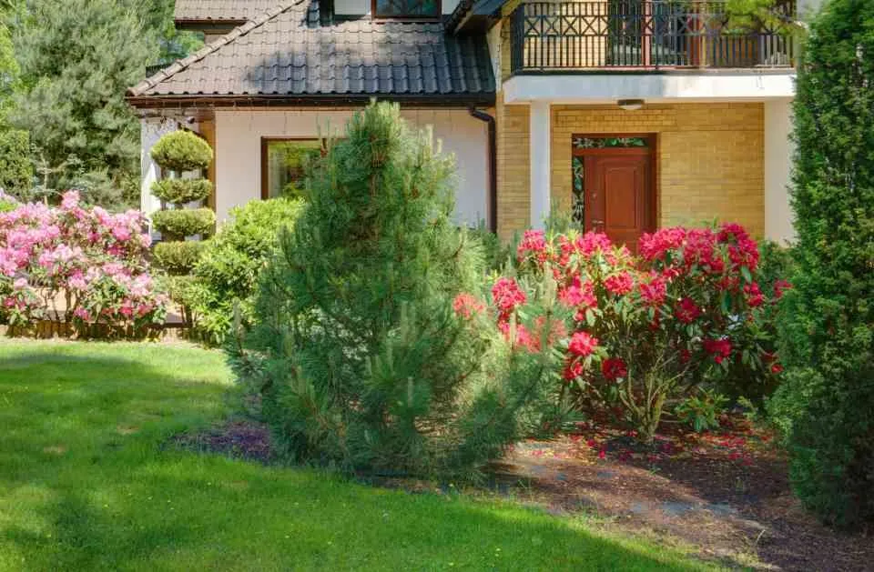 Local yard cleanup service experts serving Eugene, OR - Sharp Edges