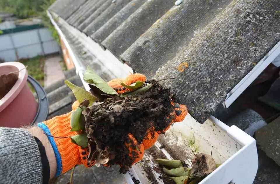 Custom residential landscaping in Eugene, OR - Sharp Edges