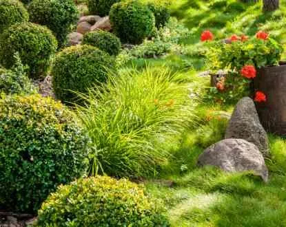 Reliable yard maintenance in Eugene, OR - Sharp Edges