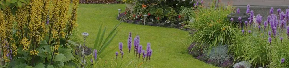 Trusted yard maintenance in Eugene, OR - Sharp Edges