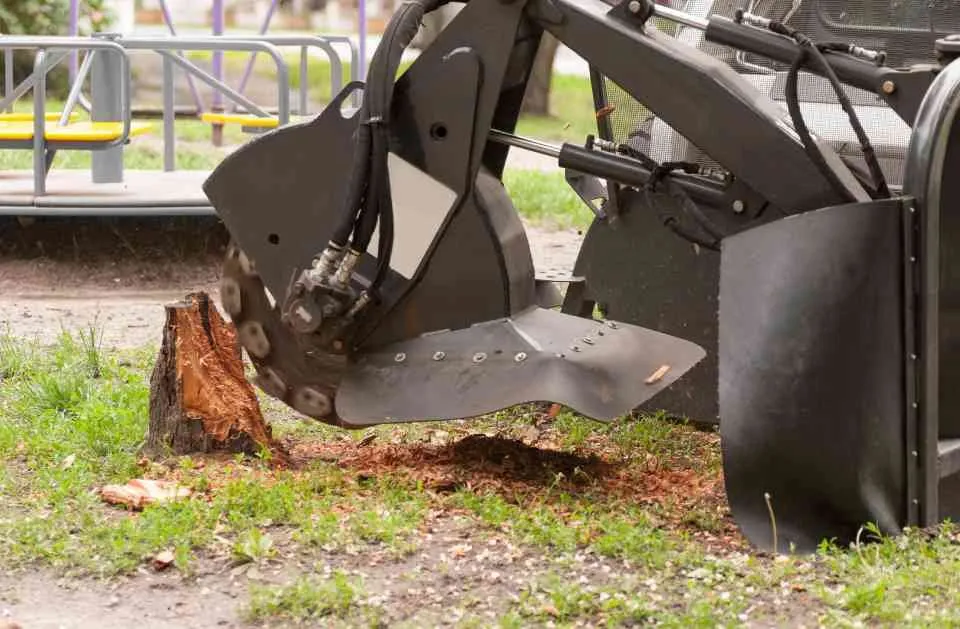 Affordable yard cleanup service in Eugene, OR by Sharp Edges