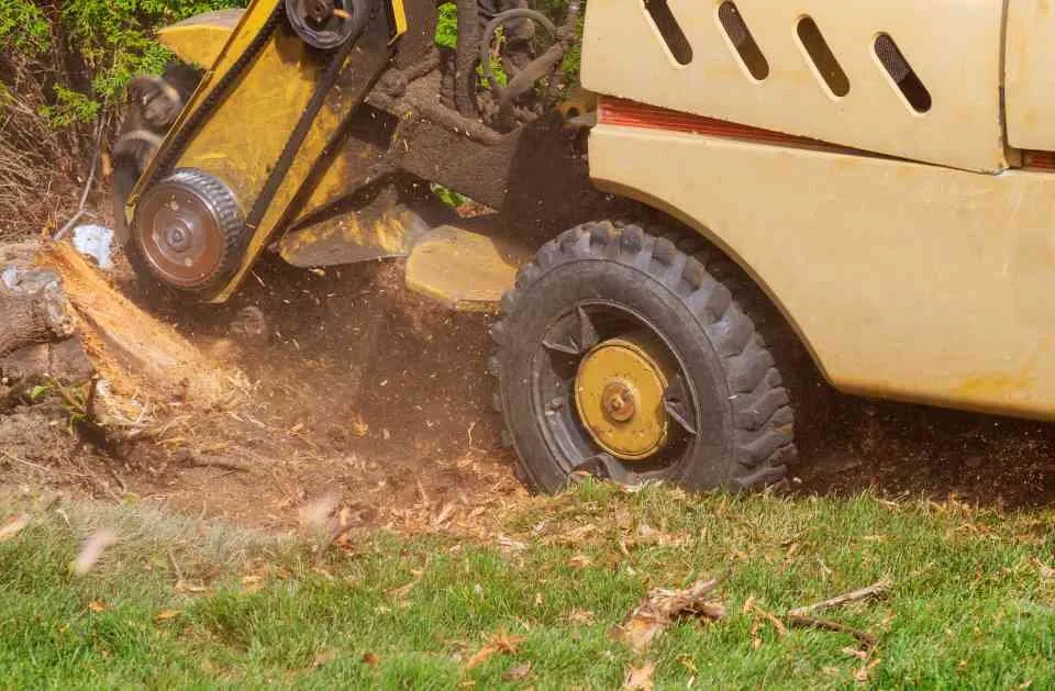 Expert garden landscaping experts serving Eugene, OR - Sharp Edges