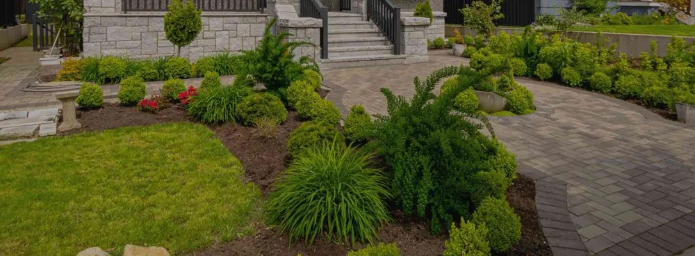 Expert yard cleanup service for outdoor upgrades across Eugene, OR - Sharp Edges