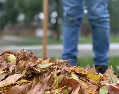 Professional yard cleanup service experts serving Eugene, OR - Sharp Edges