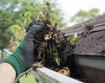 Affordable landscape design in Eugene, OR by Sharp Edges