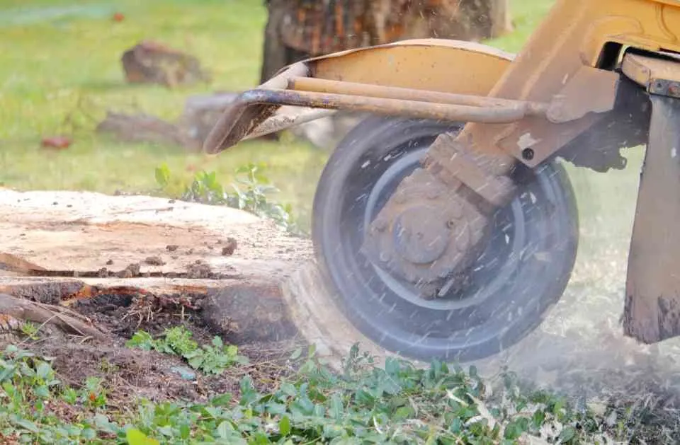 Expert outdoor landscaping for residential properties in Eugene, OR by Sharp Edges