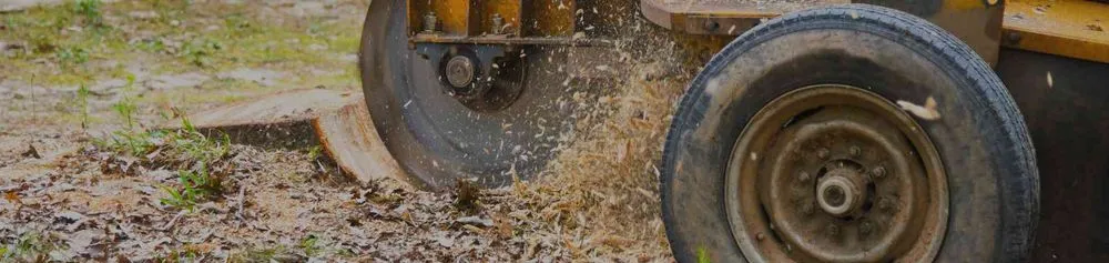 Expert yard maintenance near you in Eugene, OR by Sharp Edges