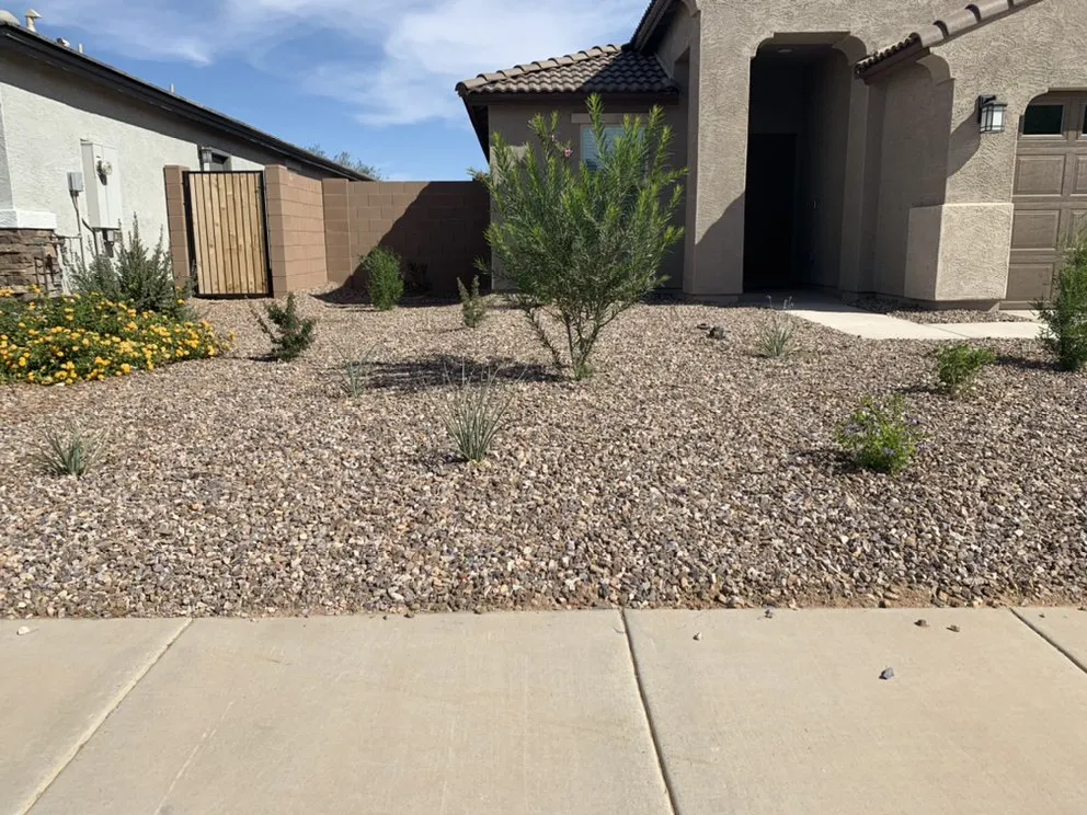 Affordable landscape installation in Casa Grande, AZ by Sharp Edges Landscaping