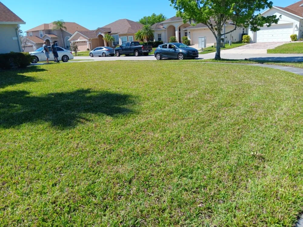 Top-rated landscape design for outdoor upgrades across Poinciana, FL - Sharp Edges Lawn and Home