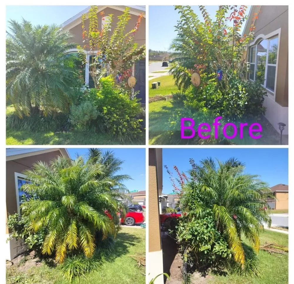 Top-rated lawn care service in Poinciana, FL by Sharp Edges Lawn and Home