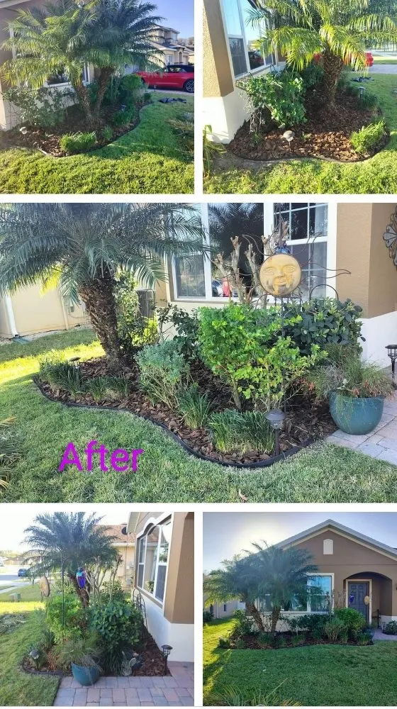 Expert residential landscaping for year-round maintenance in Poinciana, FL by Sharp Edges Lawn and Home