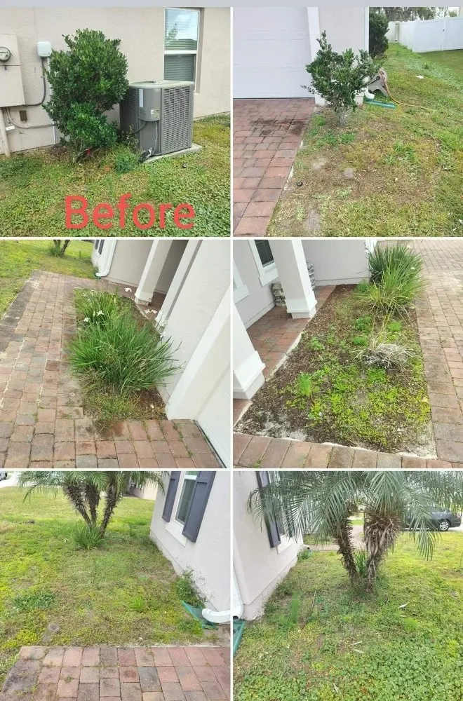 Reliable yard maintenance in Poinciana, FL by Sharp Edges Lawn and Home