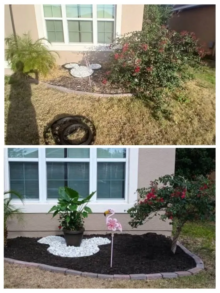 Reliable yard maintenance in Kissimmee, FL - Sharp Edges Lawn