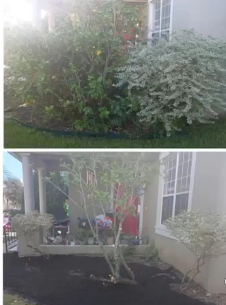 Reliable yard maintenance experts serving Kissimmee, FL - Sharp Edges Lawn