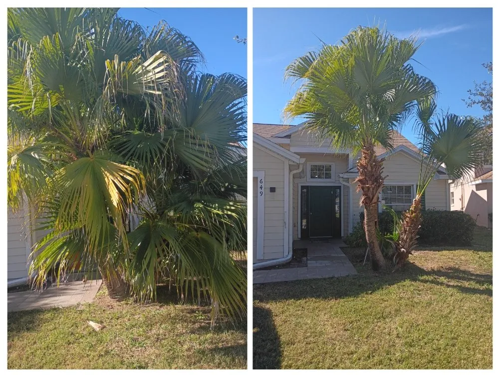 Reliable garden landscaping near you across Kissimmee, FL - Sharp Edges Lawn