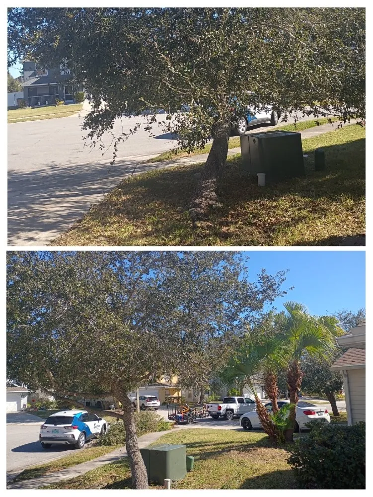 Local yard cleanup service experts serving Kissimmee, FL - Sharp Edges Lawn