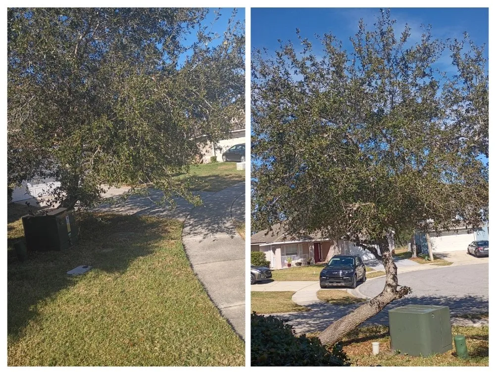 Top-rated lawn mowing service with custom design in Kissimmee, FL by Sharp Edges Lawn