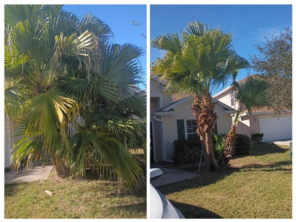 Top-rated lawn mowing service in Kissimmee, FL - Sharp Edges Lawn