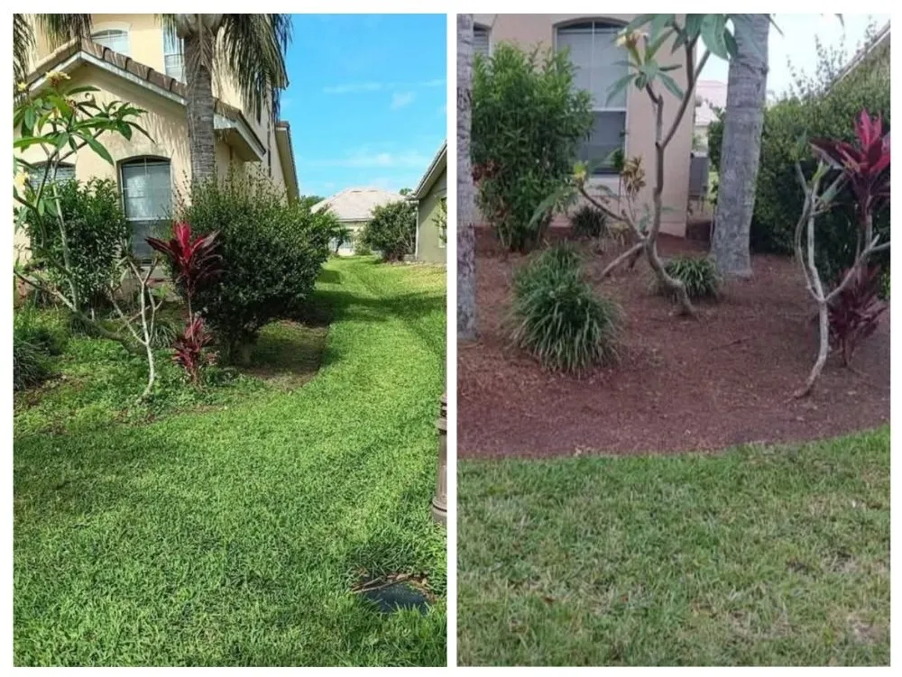 Trusted lawn mowing service for year-round maintenance in Kissimmee, FL by Sharp Edges Lawn