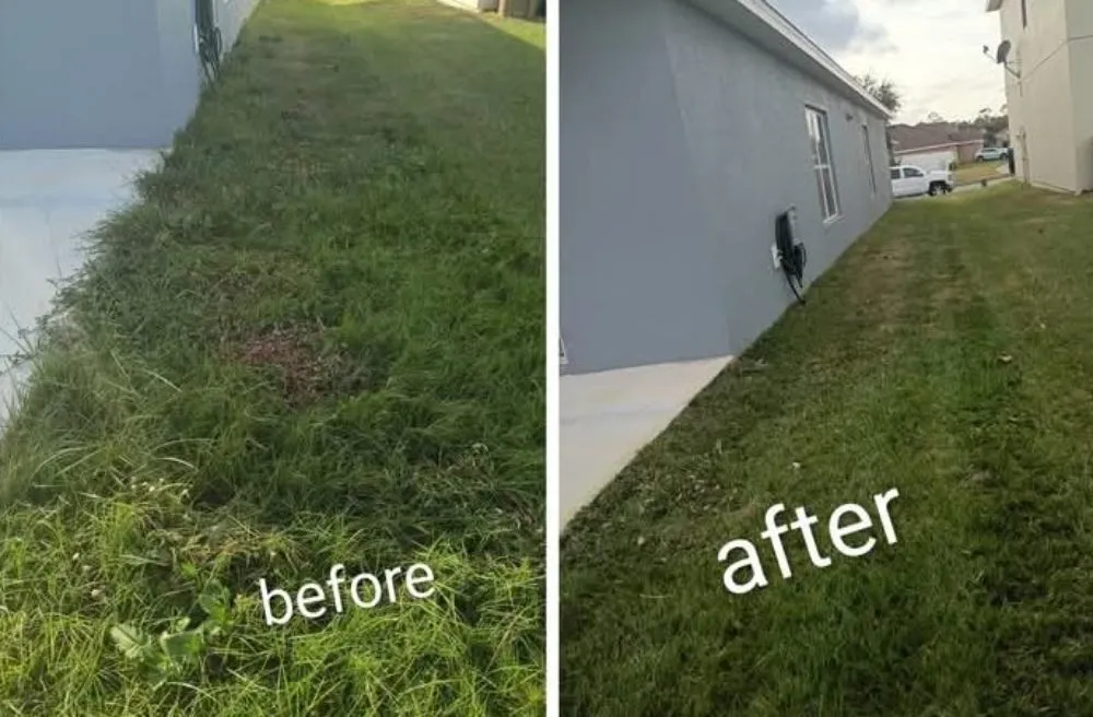 Professional lawn mowing service in Kissimmee, FL by Sharp Edges Lawn