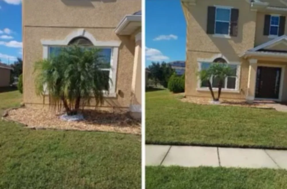 Local yard maintenance in Kissimmee, FL by Sharp Edges Lawn