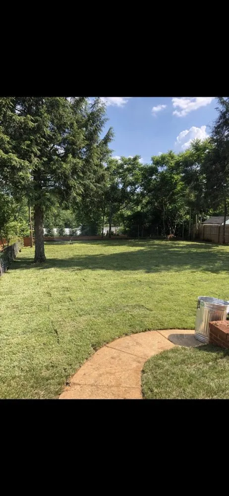 Reliable yard cleanup service in Laurel, MD - Sharp Green Landscaping