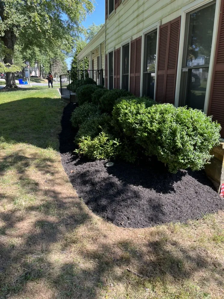 Trusted landscape design for residential properties across Laurel, MD - Sharp Green Landscaping