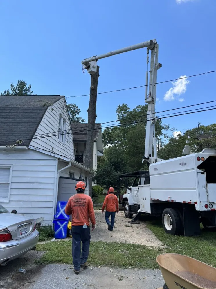 Local yard maintenance in Laurel, MD - Sharp Green Landscaping