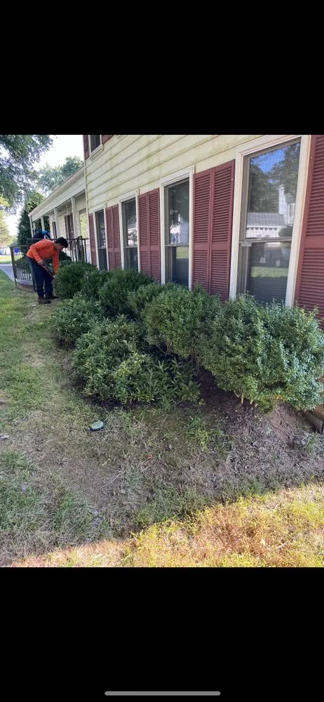 Trusted landscape installation experts serving Laurel, MD - Sharp Green Landscaping