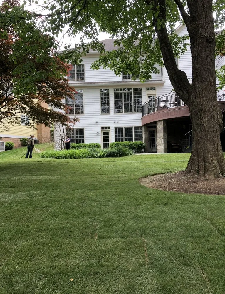 Top-rated residential landscaping for year-round maintenance across Laurel, MD - Sharp Green Landscaping