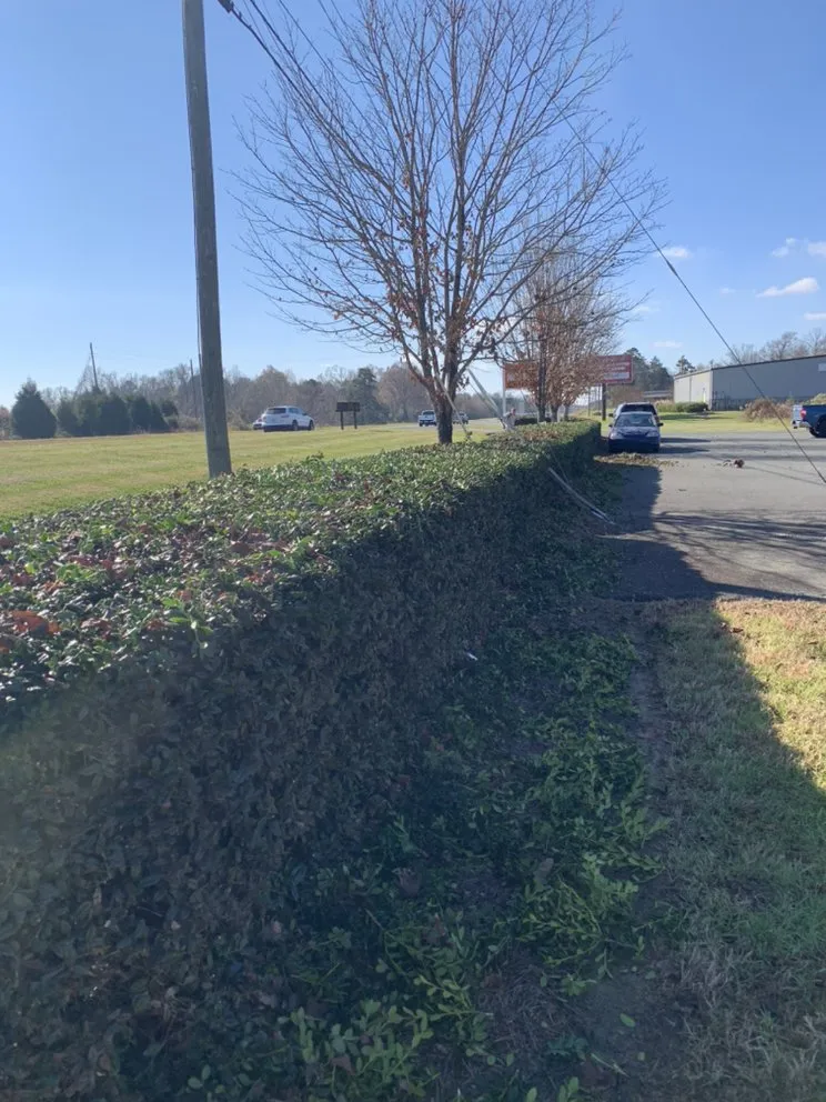 Local yard maintenance in Harrisburg, NC by Sharp Image LandCare