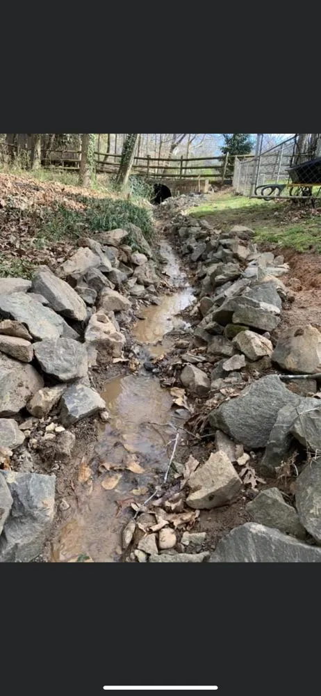 Trusted landscaping services for year-round maintenance across Harrisburg, NC - Sharp Image LandCare