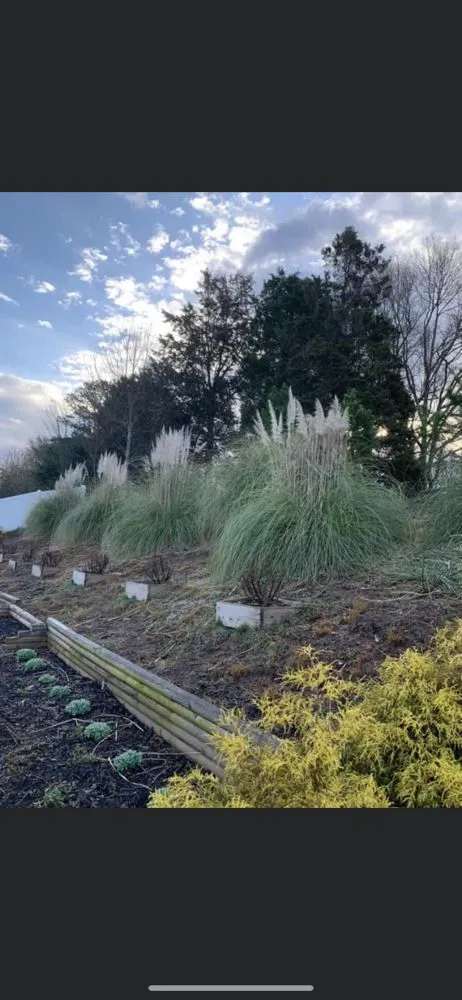 Professional residential landscaping in Harrisburg, NC by Sharp Image LandCare