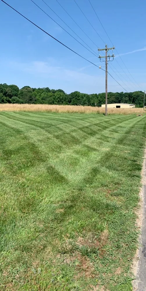 Professional landscape installation in Harrisburg, NC - Sharp Image LandCare