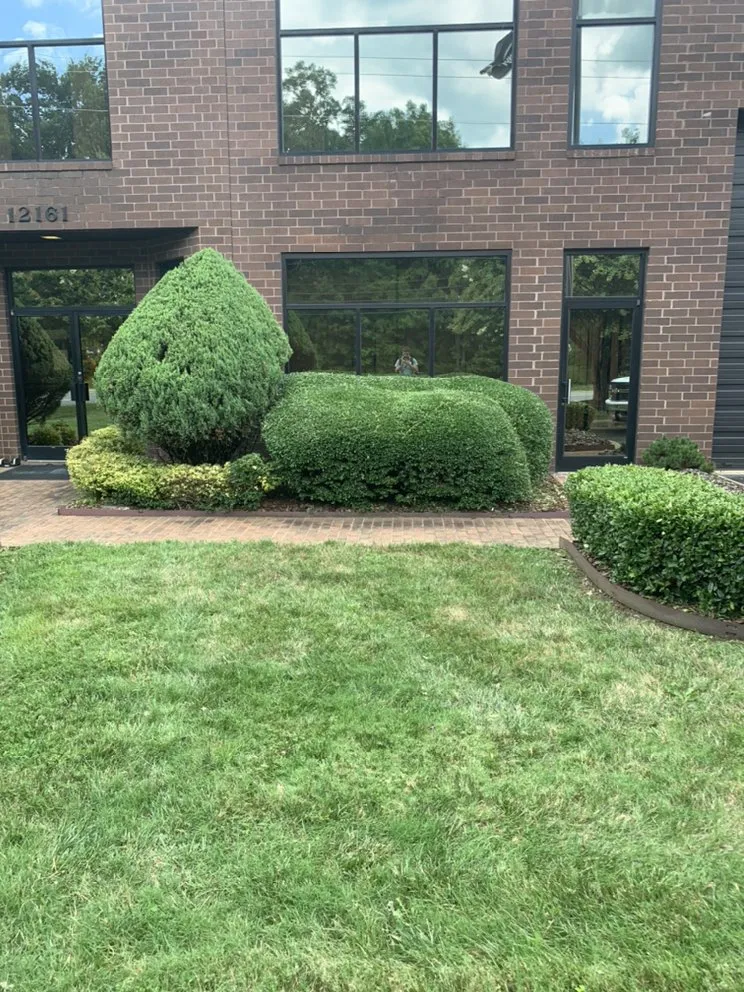 Affordable landscaping services experts serving Harrisburg, NC - Sharp Image LandCare