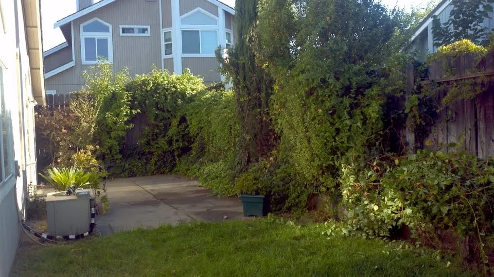 Top-rated garden landscaping in Orangevale, CA by Sharp Landscape Maintenance