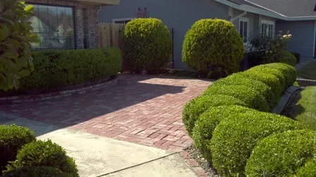 Trusted yard cleanup service in Orangevale, CA by Sharp Landscape Maintenance