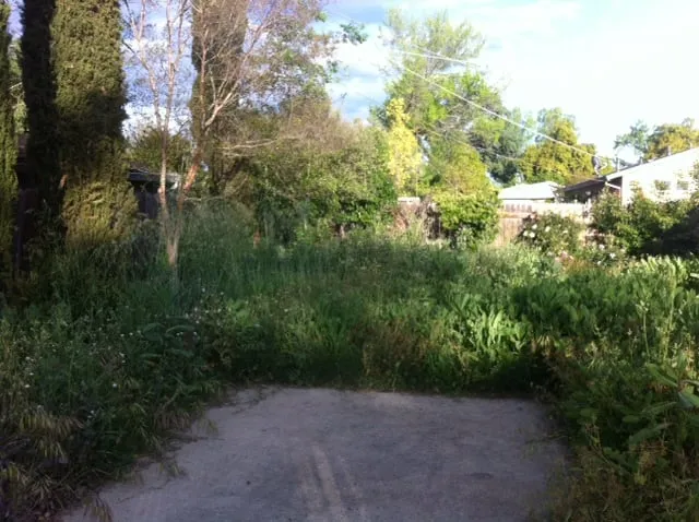 Reliable lawn mowing service in Orangevale, CA by Sharp Landscape Maintenance