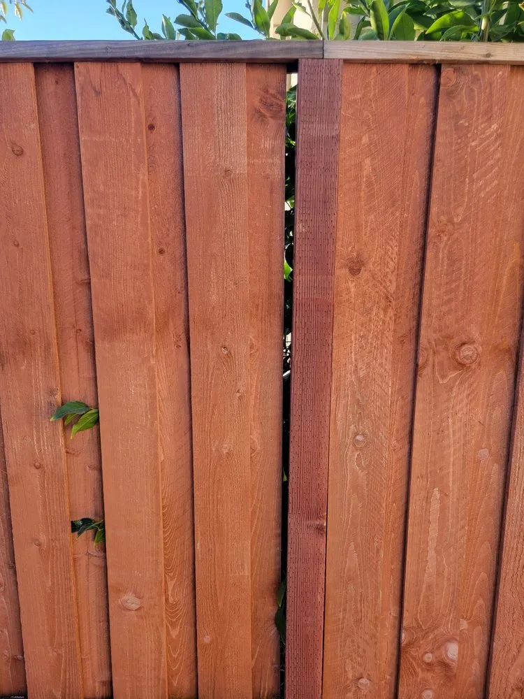 Professional landscaping services in Orangevale, CA by Sharp Landscape Maintenance